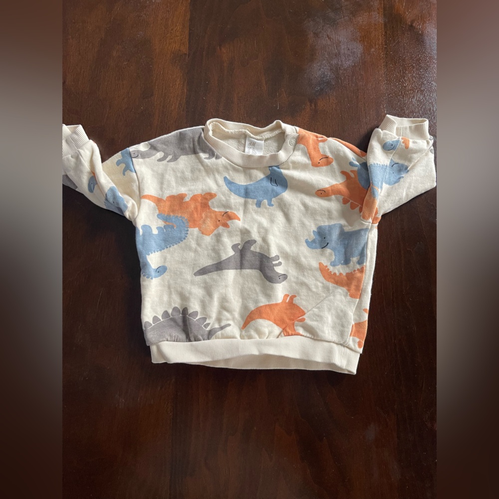 Dino sweatshirt 9months